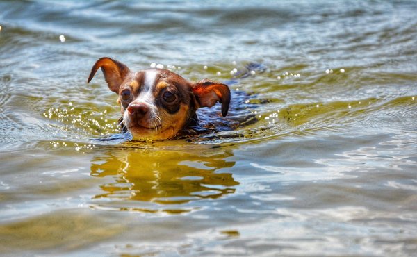 Comment débuter dans le cyclo-cross ?